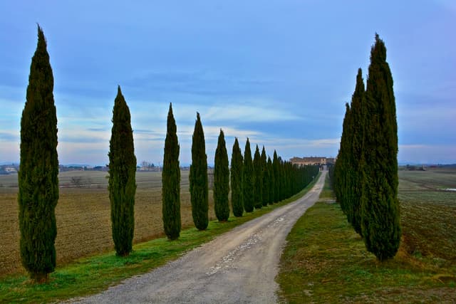 Fly-Drive da Roma a Venezia